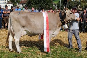 Miss OB Schwyz_Janka Lidia_Gwerder Beat Rickenbach